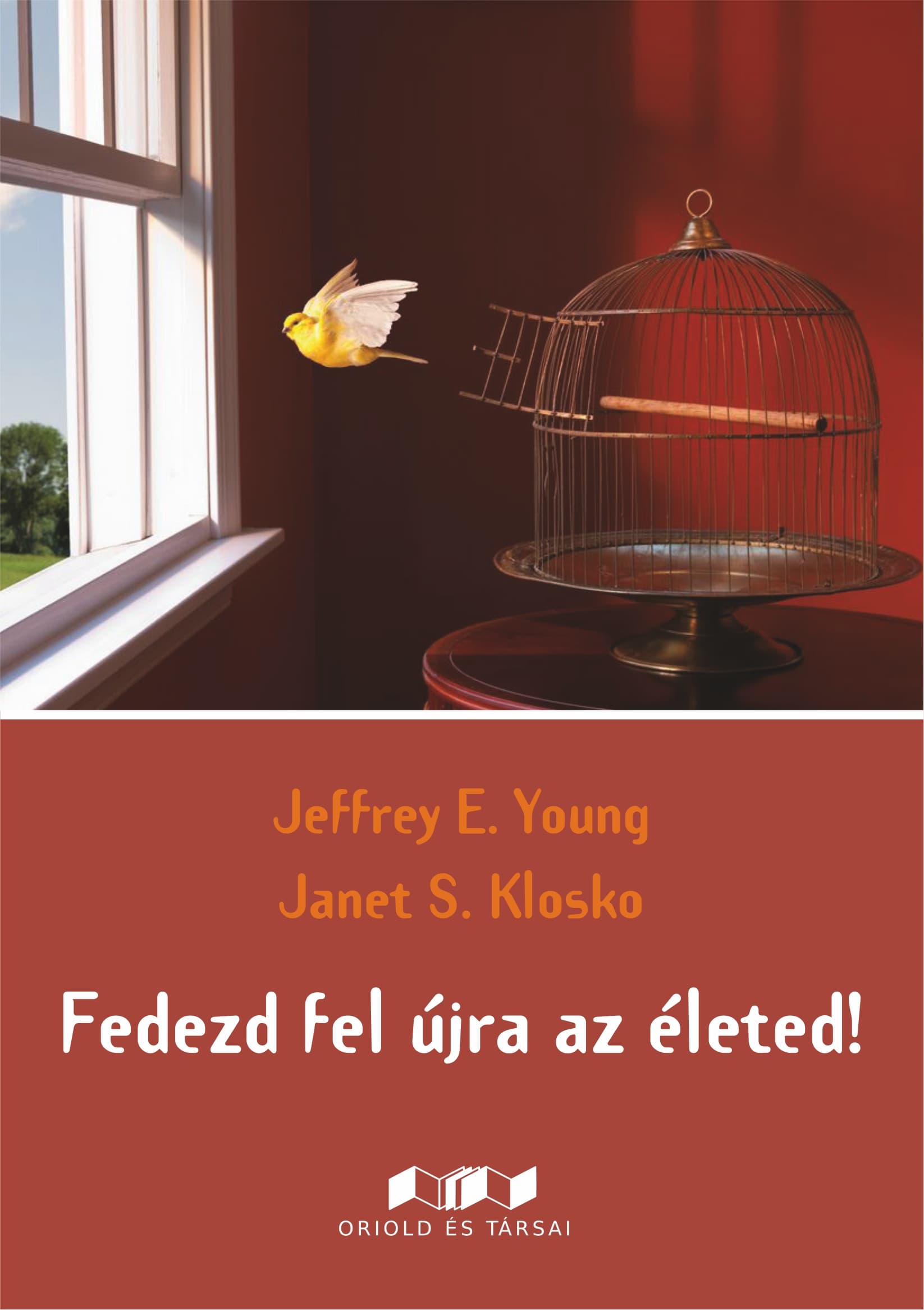 Fedezd fel újra az életed! – Jeffrey E. Young könyvborító